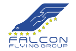 falcon-flying-group